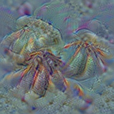n01985128 crayfish, crawfish, crawdad, crawdaddy